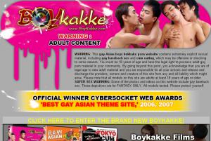 visit Boykakke porn review