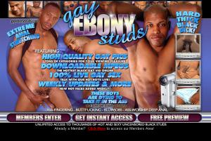 visit Gay Ebony Studs porn review