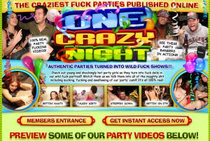 visit One Crazy Night porn review