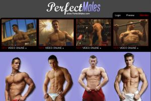 visit Perfect Males porn review