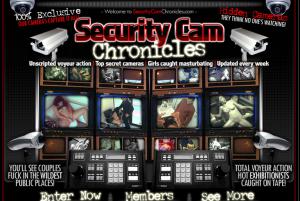 visit Security Cam Chronicles porn review