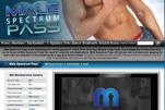 Male Spectrum Pass gay networks porn review