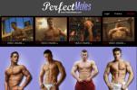 Perfect Males gay muscle porn review