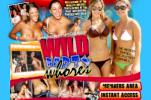 Wild Party Whores hardcore sex porn review