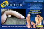 XXL Cock gay hardcore sex porn review